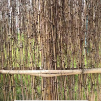 歡迎##咸寧市赤壁仿竹籬笆草坪柵欄|正定菜園欄桿