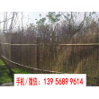 欢迎##临沂罗庄区仿竹篱笆园林护栏|庄浪县防腐木栏杆