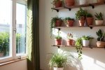 绿植的魔力：改善室内微环境的秘密